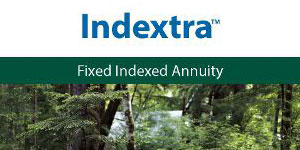 integrity-indextra-300